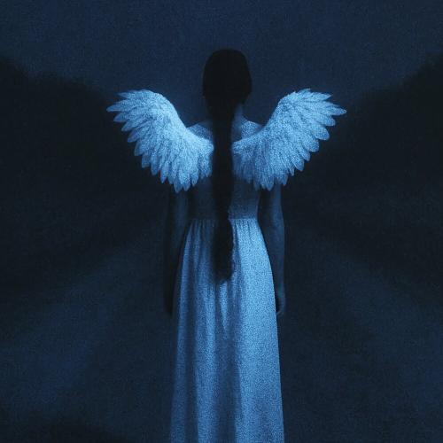 VILLYBON - ALAS