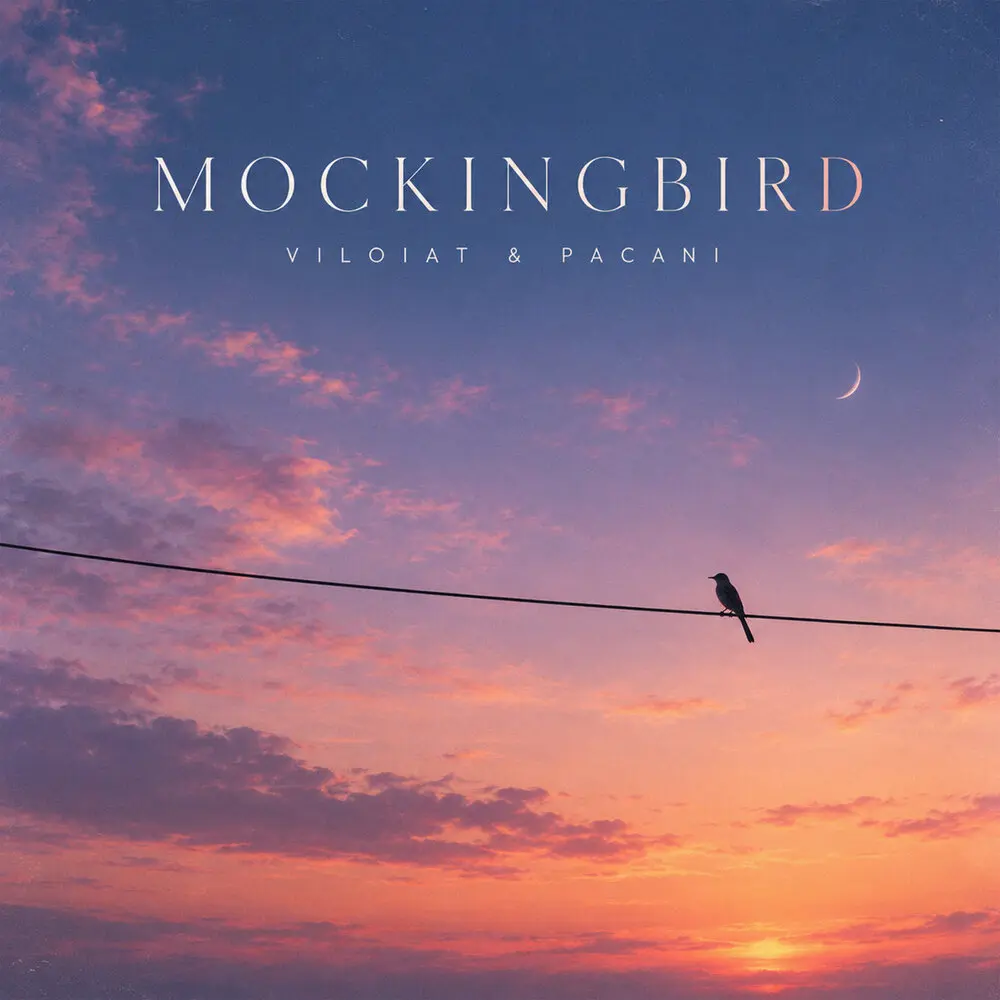 Mockingbird (Cover) - VILOIAT, PACANI