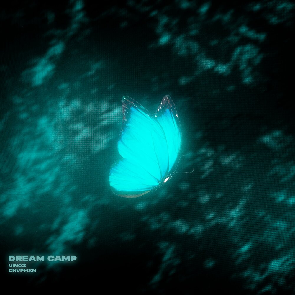 Dream Camp - vino3, CHVPMXN