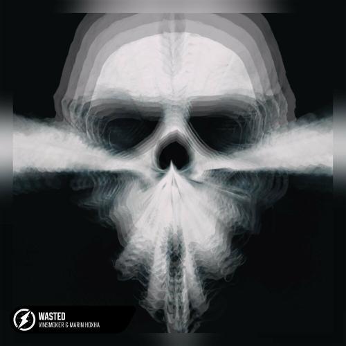 Vinsmoker & Marin Hoxha - Wasted