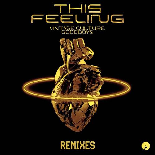 Vintage Culture feat. Goodboys - This Feeling (Gabe Remix)