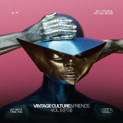 Vintage Culture feat. Roddy Lima - Analog Ascent