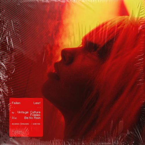 Vintage Culture & Fideles feat. Be No Rain - Fallen Leaf (Edit)