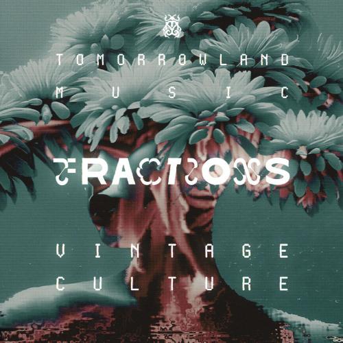 Vintage Culture - Fractions