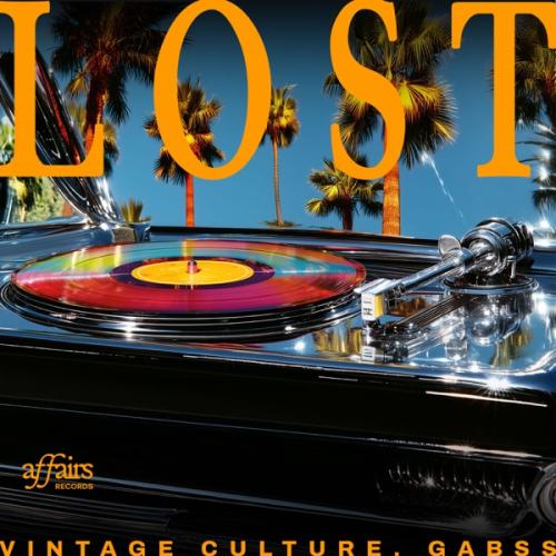 Vintage Culture & gabss - Lost