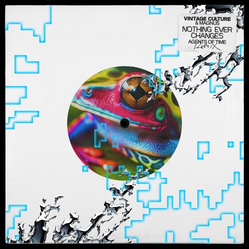 Vintage Culture, MAGNUS - Nothing Ever Changes (Agents of Time Remix)
