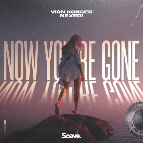Vion Konger feat. Nexeri - Now You Are Gone