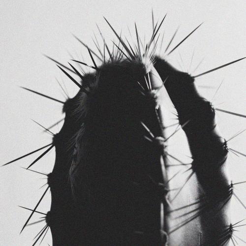 VIRANA - DESPACITO
