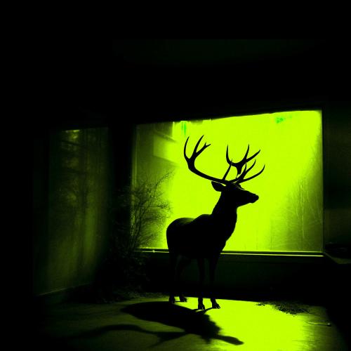 VIRANA - Sleep