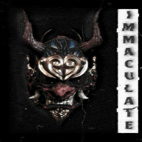 VISXGE - IMMACULATE