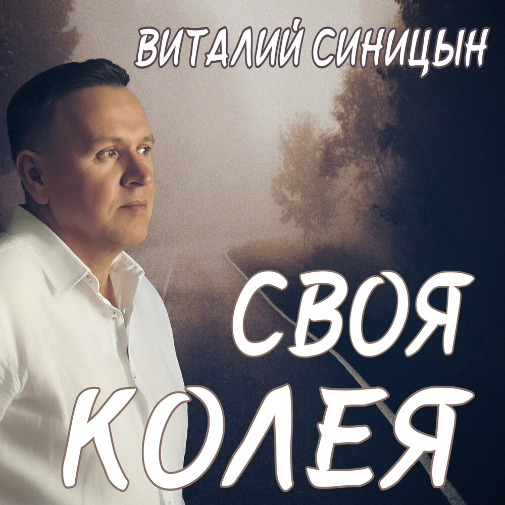 Своя колея - Виталий Синицын