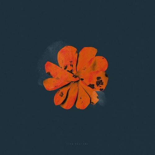 Холод - vito & FARZZZI