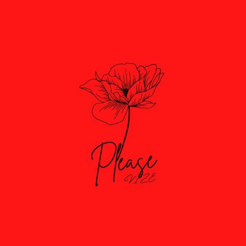Please - VIZE