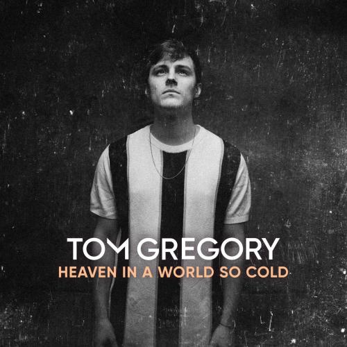 Never Let Me Down - VIZE & Tom Gregory