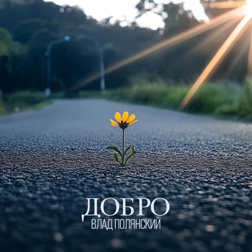 Витрины - Влад Полянский