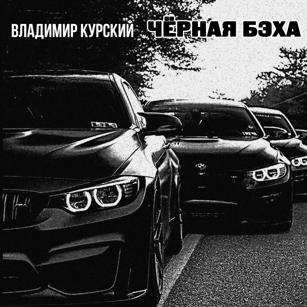 История жизни - Владимир Курский