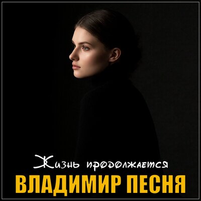 Жизнь продолжается - Владимир Песня