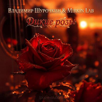 Дикие розы (Pop Evolution) - Владимир Шурочкин, MIRKIN LAB
