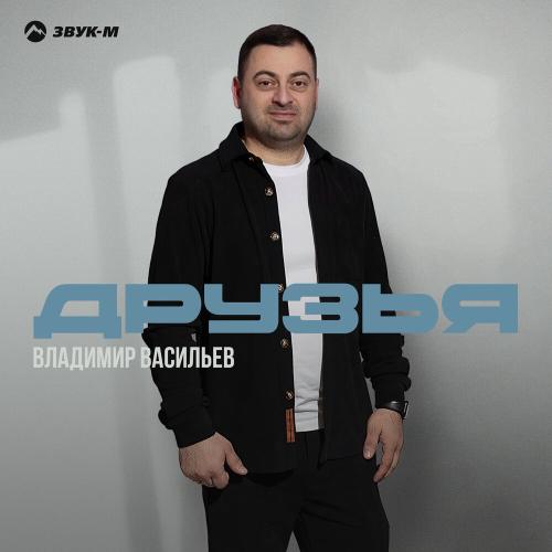 Друзья - Владимир Васильев