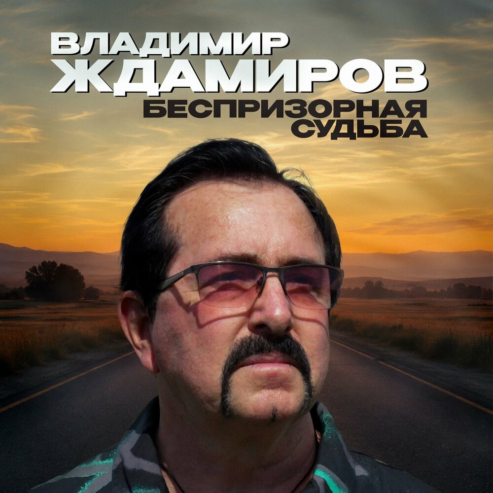 Беспризорная судьба - Владимир Ждамиров