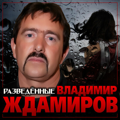 Разведённые - Владимир Ждамиров
