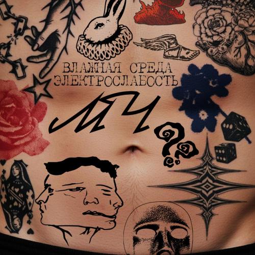 Влажная Среда, ЭЛЕКТРОСЛАБОСТЬ - МЧ