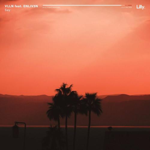 VLLN & ENLIV3N - Say