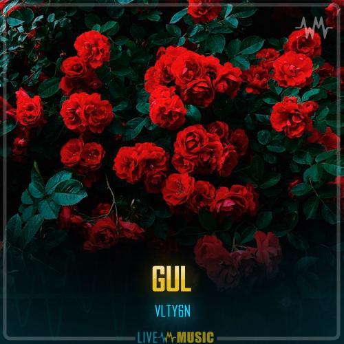 VLTY6N - Gul