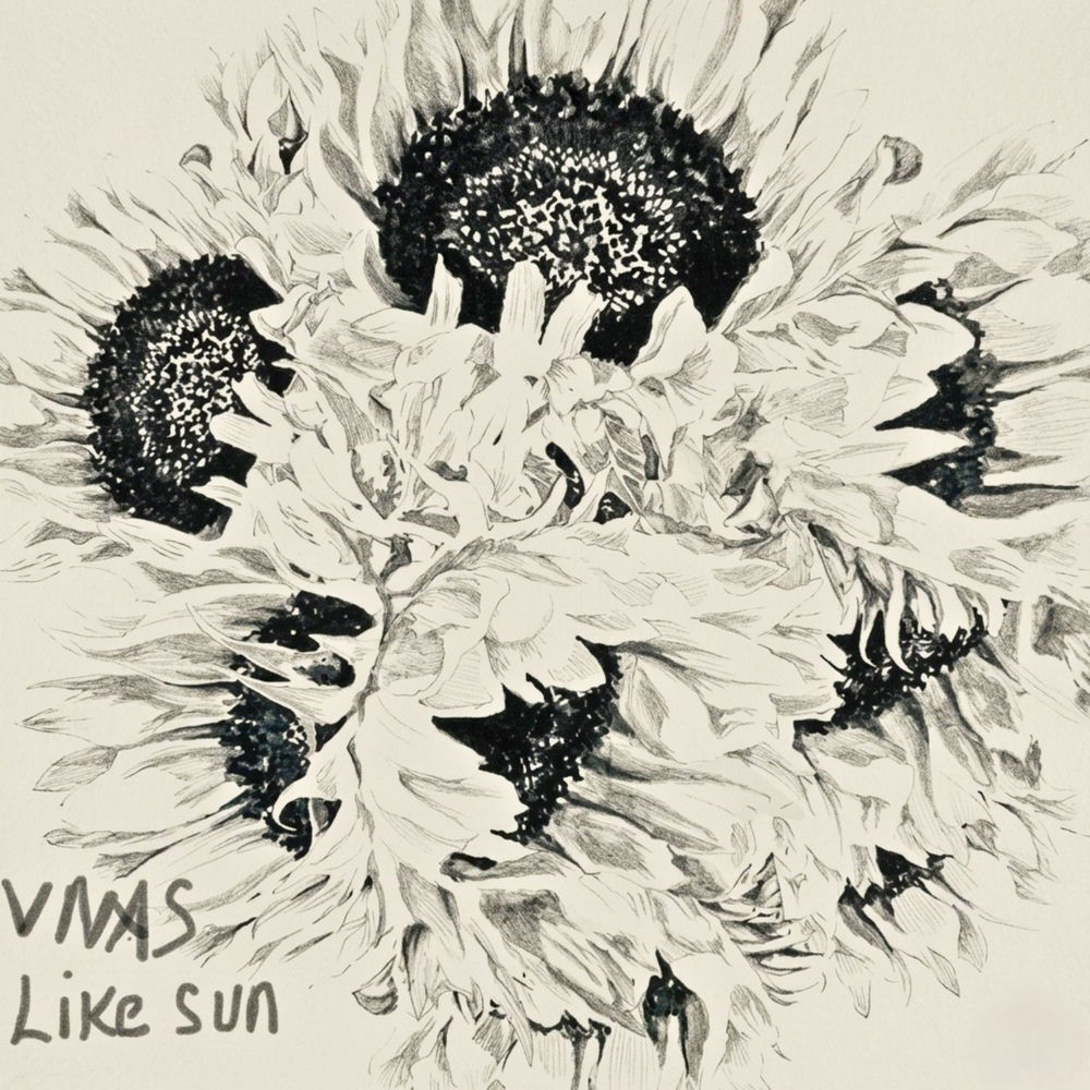 Like Sun - Vnas
