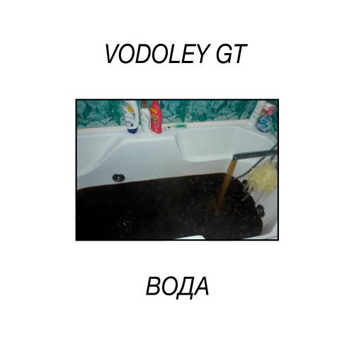 Vodoley GT - рябина
