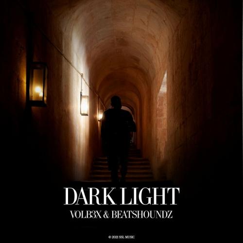 VOLB3X, BeatsHoundz - Dark Light