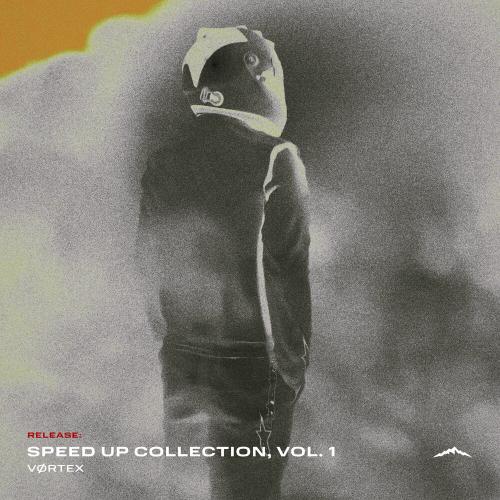 VØRTEX, SLCTD - Without You (Speed Up)