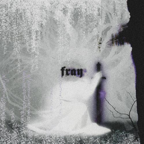 VSN7 - Fray