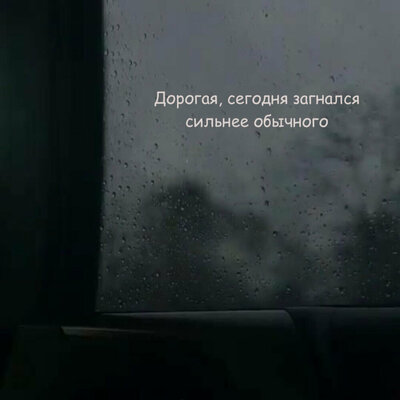 Дорогая, сегодня загнался сильнее обычного - Vspak