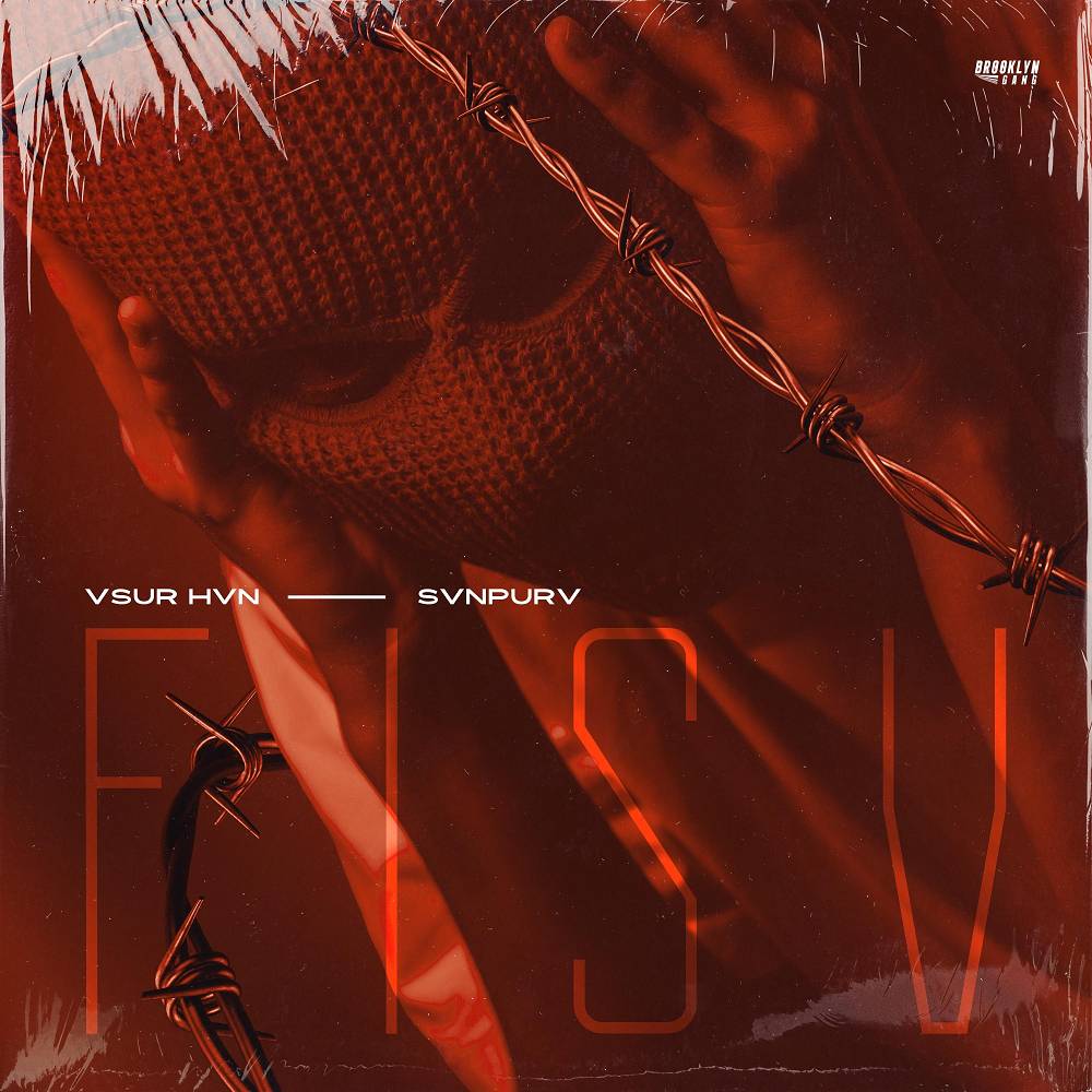 Fisv - VSUR HVN & SVNPURV