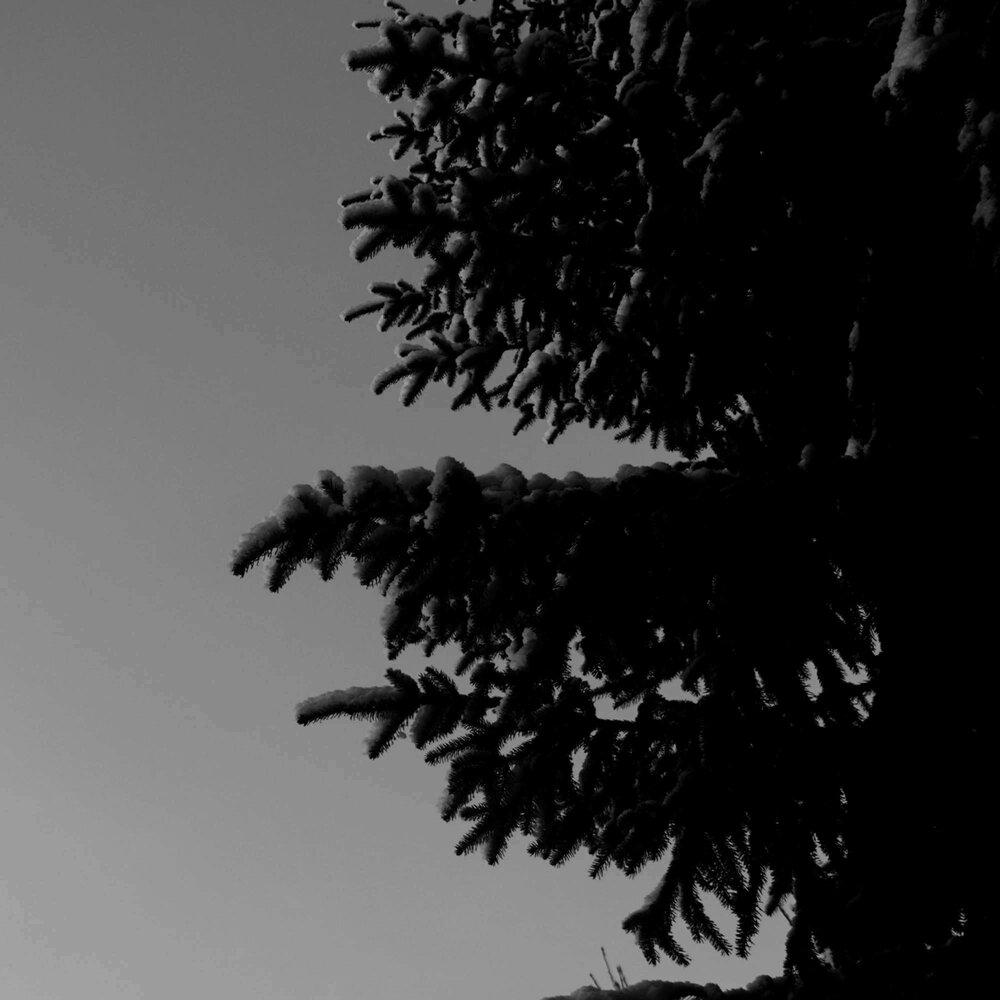 Nothing - Vtorna