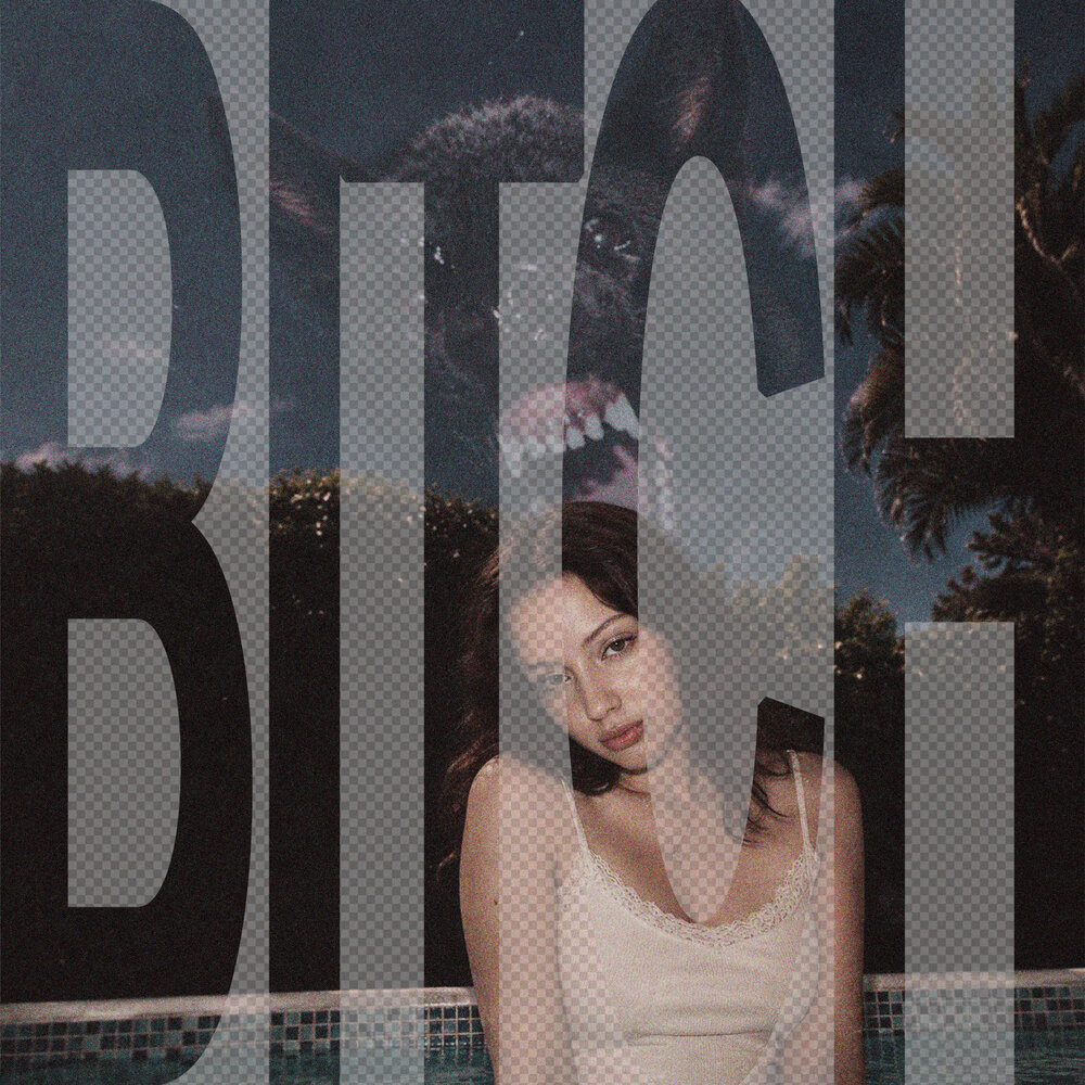 BITCH - vvxcc