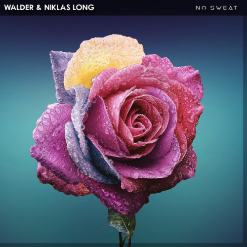 Walder & Niklas Long - No Sweat