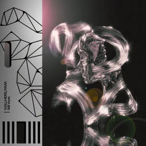 Wallmers & FAVIA - Still Yours