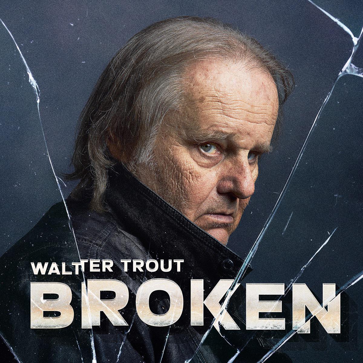 Courage in the Dark - Walter Trout