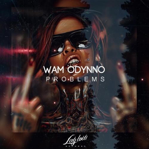 Wam Odynno - Problems