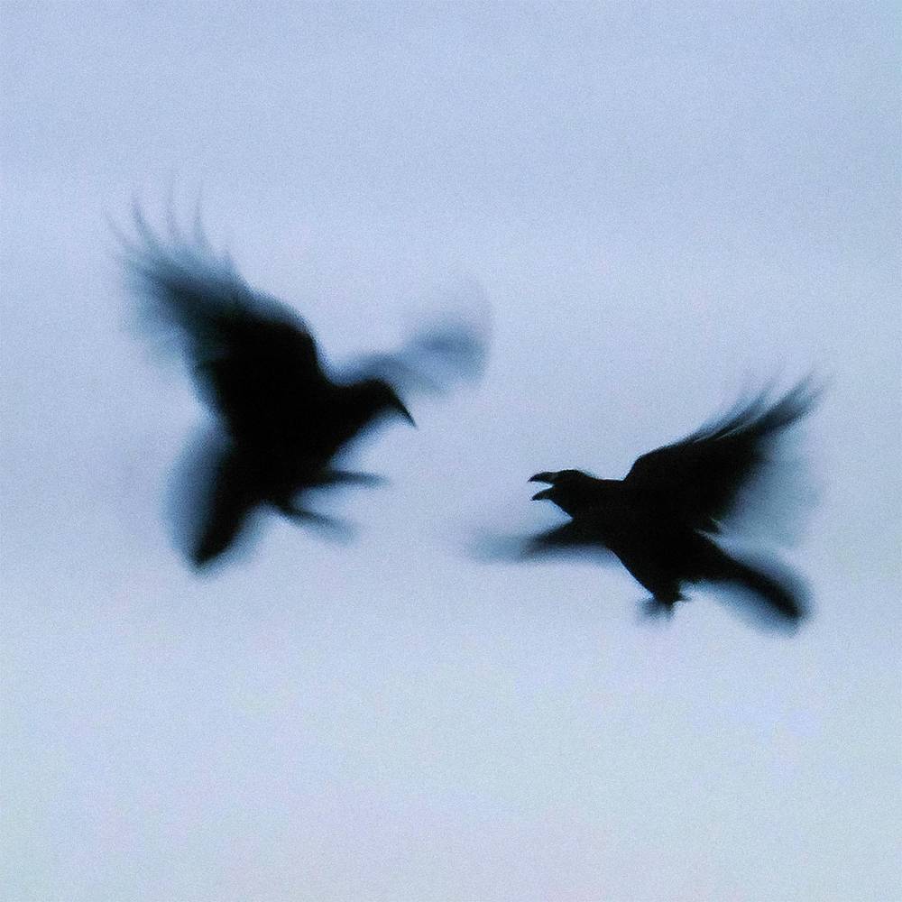 завис - wavescale