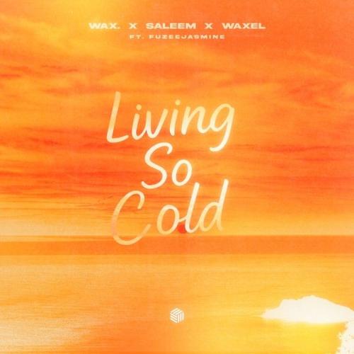 wax., Saleem, Waxel & Fuzeejasmine - Living So Cold