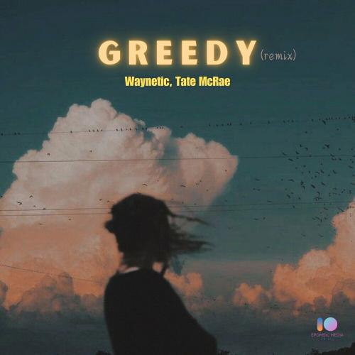 Waynetic & Tate McRae - Greedy (Drill Remix)