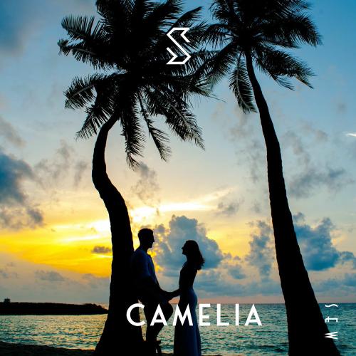 Wayx - Camelia (Edit)