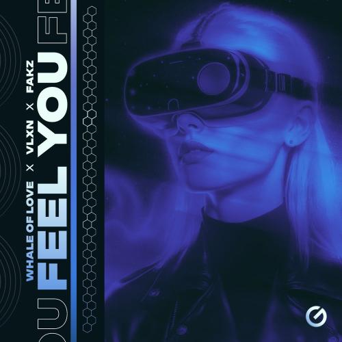 Whale Of Love, VLXN & FakZ - Feel You