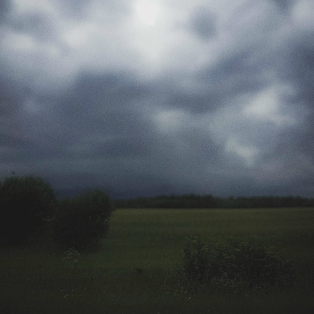 still here - whisvix, Project Arisu ₊˚⊹⋆
