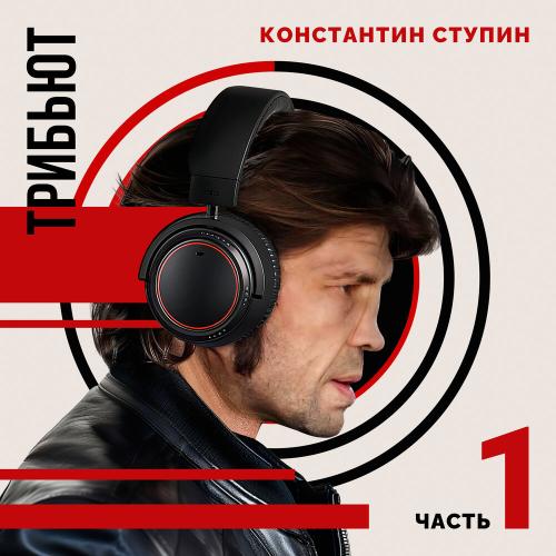 Лёд и ветер (Константин Ступин cover) - White Punk