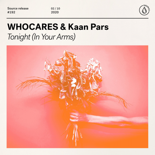 WhoCares - Tonight (In Your Arms)