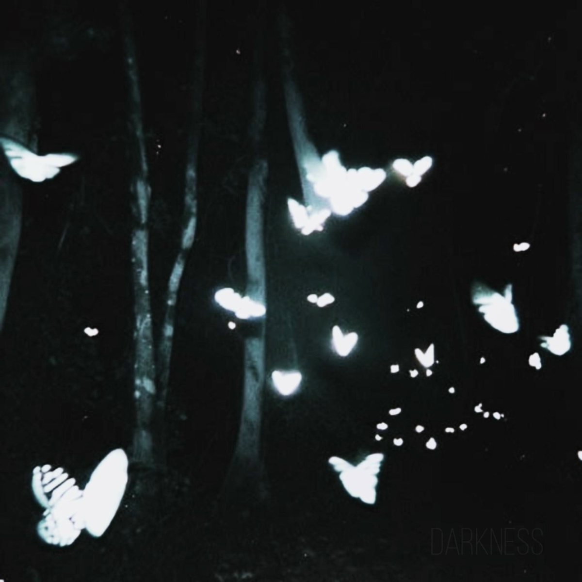 darkness - whxckham, qjjellka